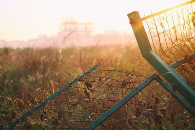 Barbed wire fence on field