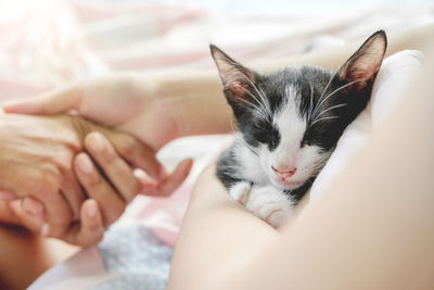 Cat relaxing on bed