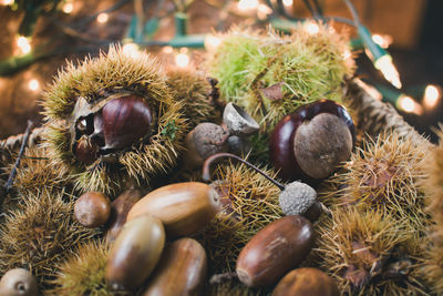 Close-up of fruits