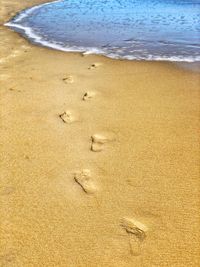 High angle view of footprints on sand at beach