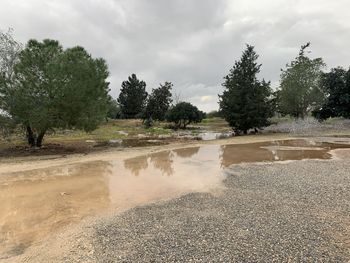 Scenic view of wet land against sky