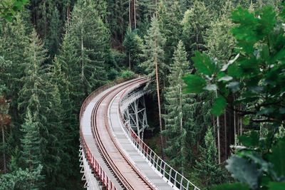 High angle view of railroad tracks amidst trees in forest