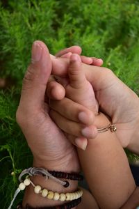 Close-up of parent hand holding baby hand against plants outdoors