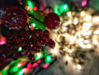 Close-up of illuminated christmas tree at night
