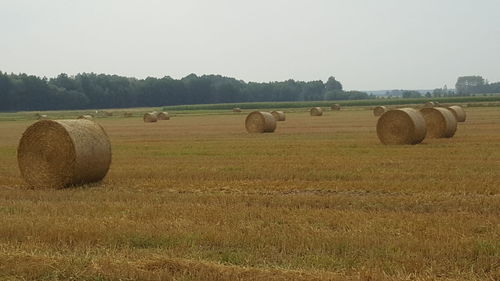 Hay bales on field against clear sky