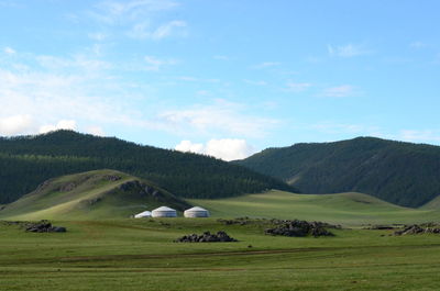 Scenic view of agricultural landscape against blue sky