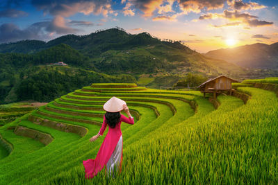 Rear view of woman walking on field