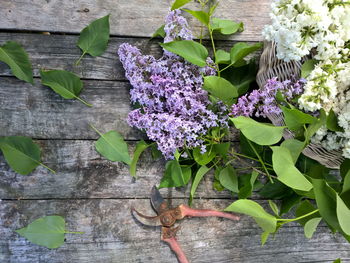 High angle view of flowers and leaves on wooden table