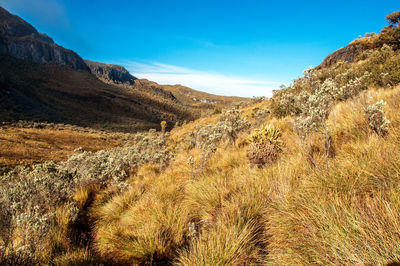 Scenic view of mountains against sky