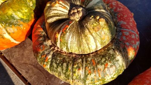 Close-up of pumpkin