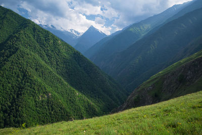 Mountain gorge in chechnya and the top of mount dikslosmta