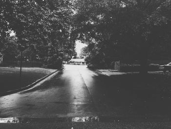 Road along trees