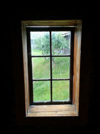 Trees seen through window of house