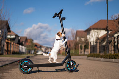 Low section of man riding push scooter on road