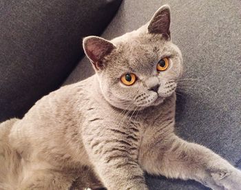close-up