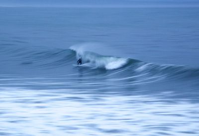 Reflection of trees in water