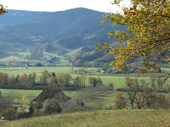 Scenic view of agricultural landscape