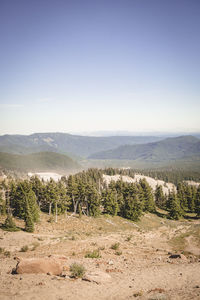 Scenic view of landscape against clear sky