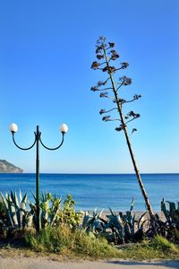 Plants and street lamp by sea against clear blue sky