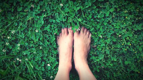 Low section of woman standing on grass