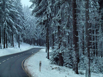 Snow covered road amidst trees in forest