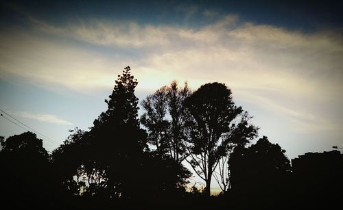 Low angle view of silhouette trees against sky at sunset
