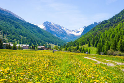 Scenic view of field against mountains