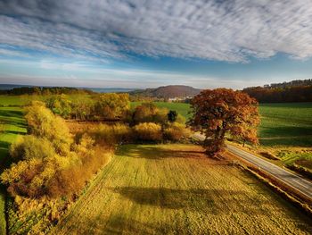 Scenic view of agricultural field against sky