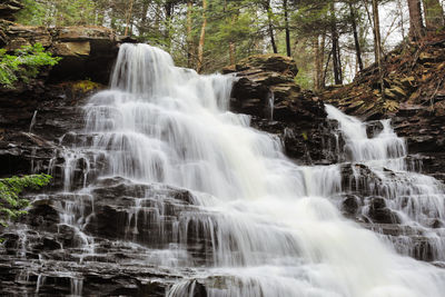 Scenic view of waterfall in forest