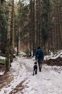 Man and dog walking in forest