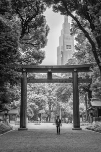 People walking in park