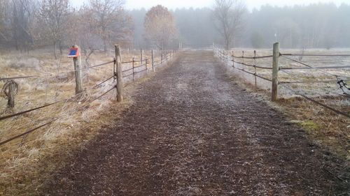 Road passing through field