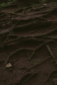 Full frame shot of water on field