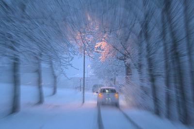 Snow covered road along bare trees