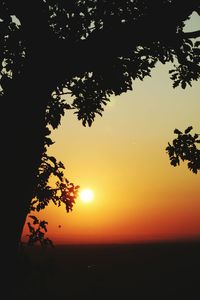 Silhouette tree against sky during sunset