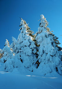 Snow covered landscape against blue sky