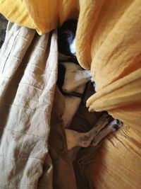 High angle view of cat relaxing on bed