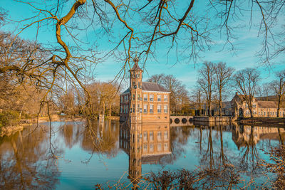 Reflection of trees in water