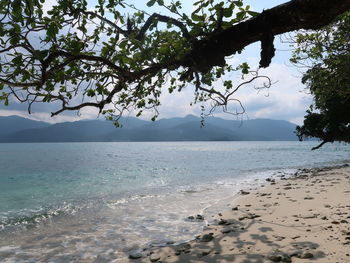 Scenic view of sea against sky