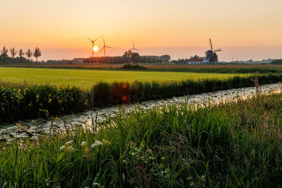 Scenic view of agricultural field against sky during sunset