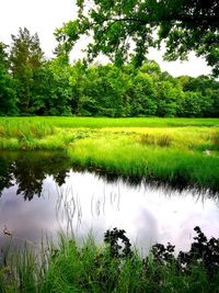 Scenic view of lake against sky