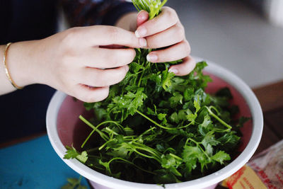 Close-up of hand holding salad