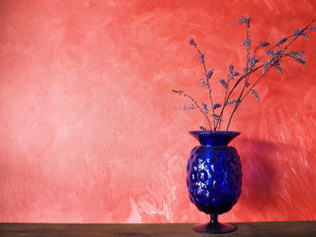 Close-up of plant in vase against wall