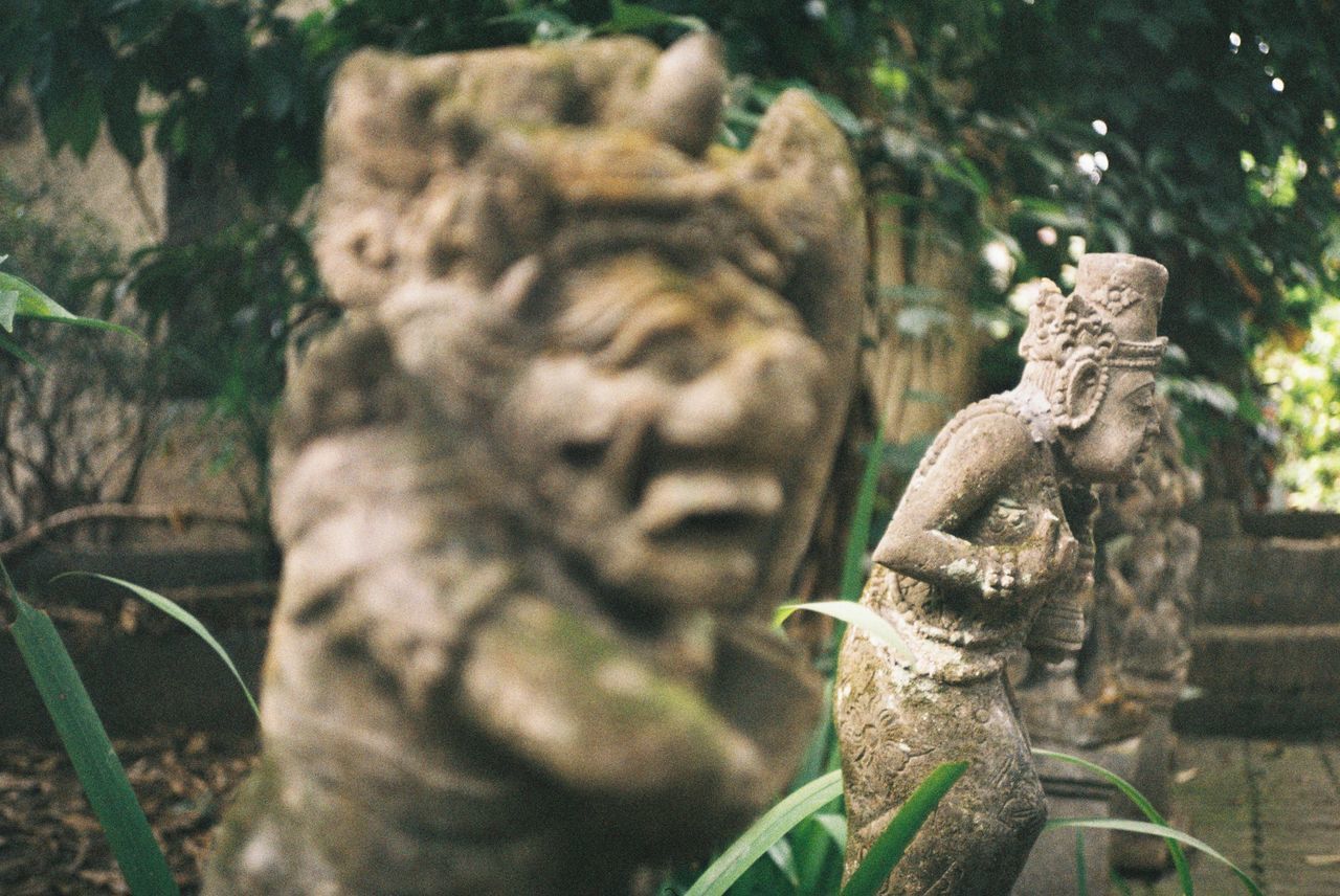 CLOSE-UP OF OLD STATUE AGAINST TREE