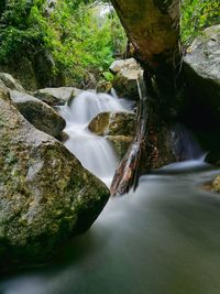 Stream flowing through rocks in forest