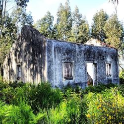 Built structure with trees in background