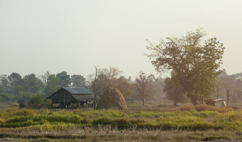 House and trees on field against clear sky