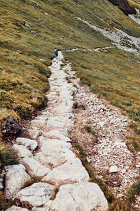 High angle view of trail on footpath