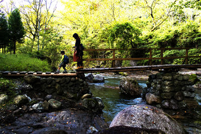 Scenic view of river in forest