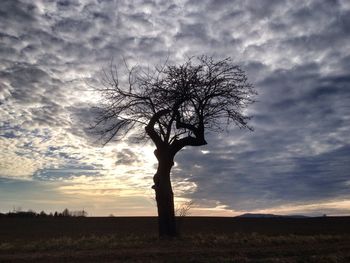 Bare trees on field against cloudy sky